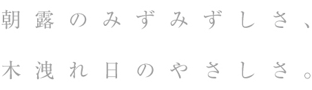 haus プレミアムヒノキ エッセンシャルヒノキオイル