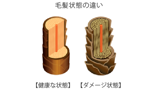 「haus」プレミアムヒノキヘアシャンプー