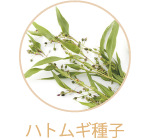 「haus」プレミアムヒノキヘアオイル