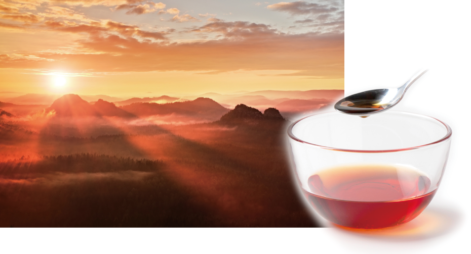 九州・延岡産ヒノキエッセンシャルオイル